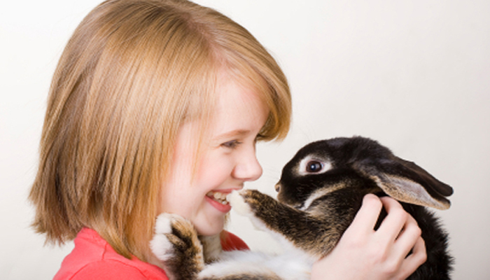 Tho nha 1 - Thỏ nhà – những con thú cưng có bộ lông như bông và mắt tròn to như búp bê